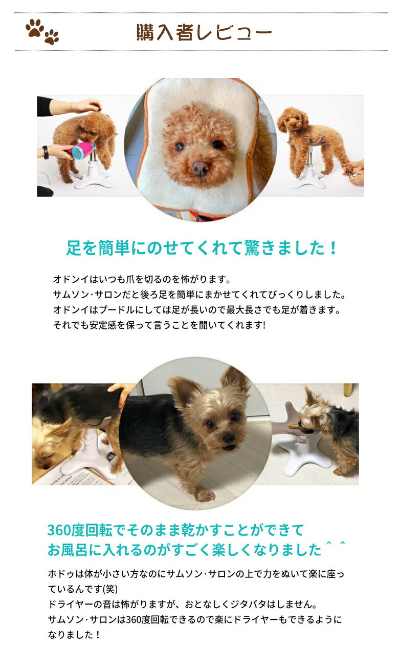 楽天市場】【リニューアルバージョン】サムソンサロン samson salon 犬