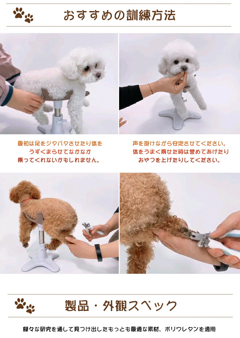 楽天市場】【リニューアルバージョン】サムソンサロン samson salon 犬