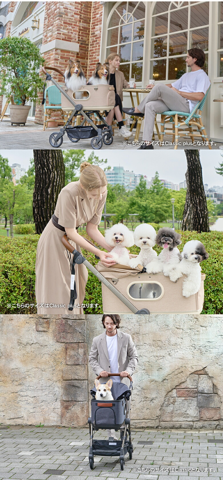 楽天市場】ROYAL TAILS Grace Classic ロイヤルテイルズ グレイス