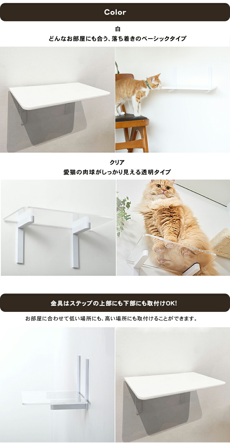 楽天市場】animacolle アニマコレ キャットステップ 白 クリア