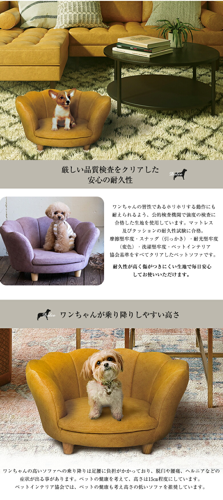 楽天市場】Dolce ドルチェ ペットソファ おしゃれ かわいい ペット用