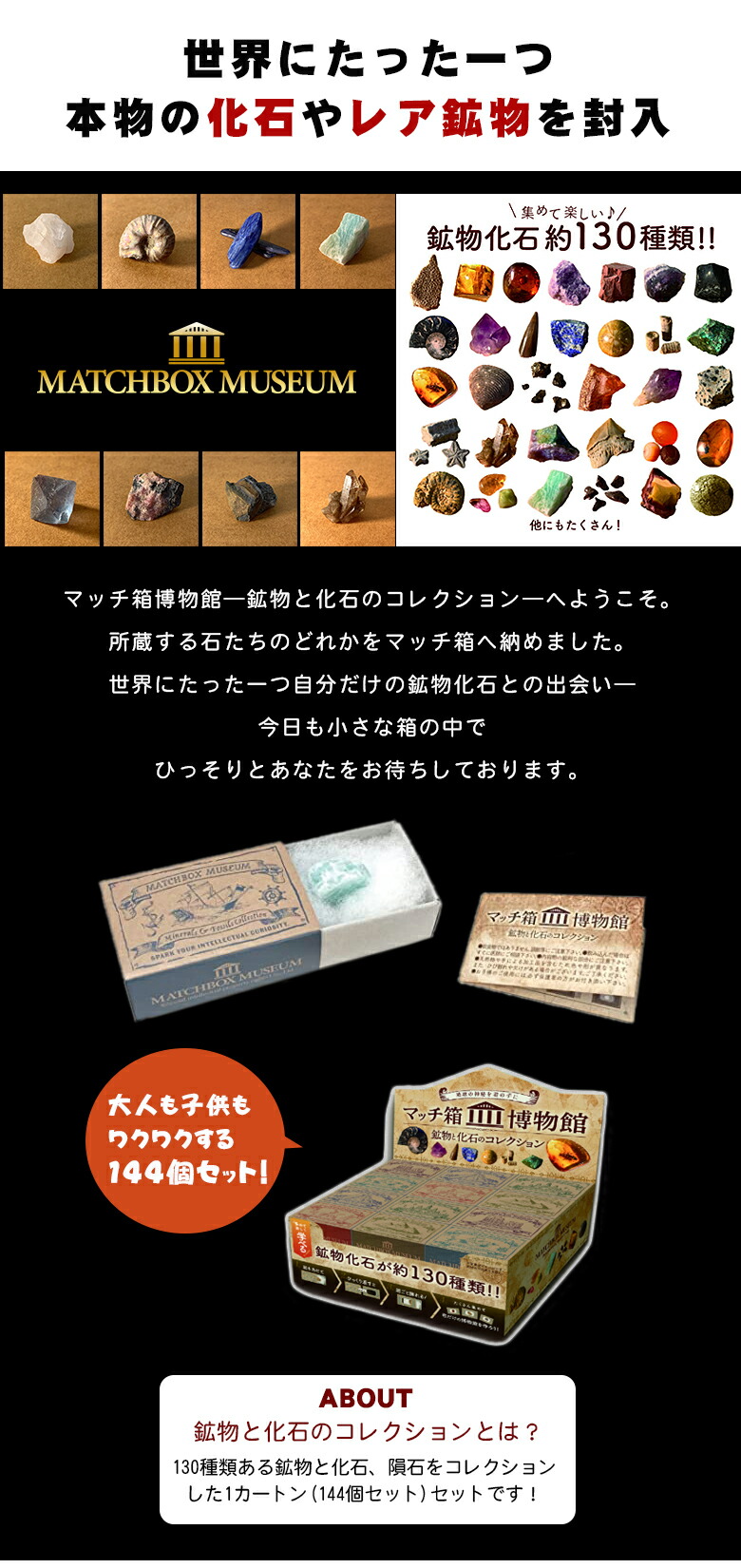 楽天市場】鉱物と化石のコレクション 1カートン(144個セット) 科学雑貨