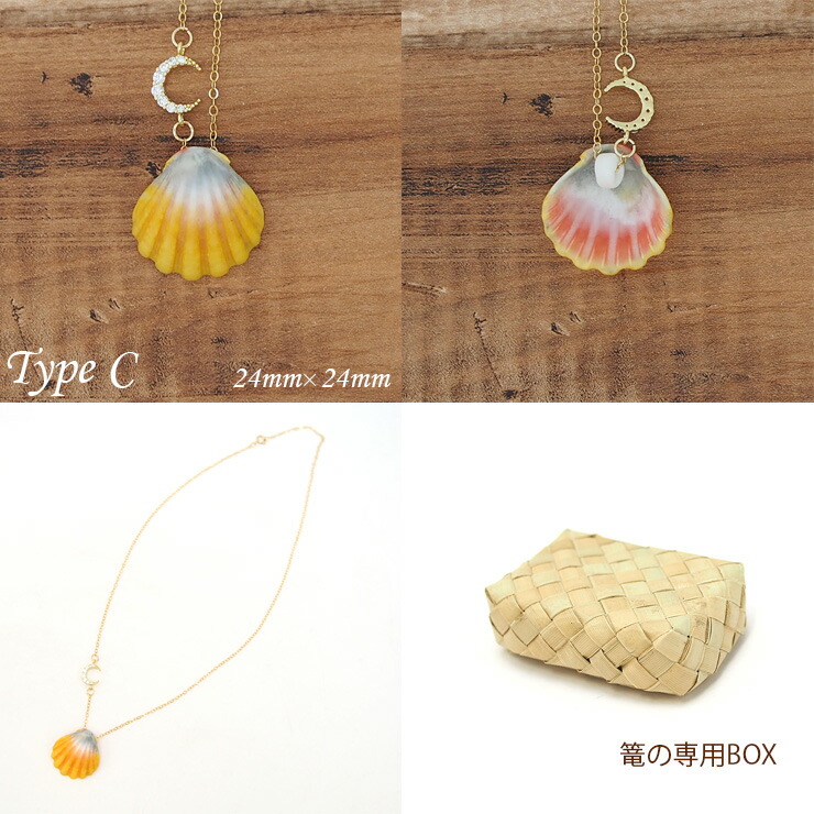 ハワイサンライズシェル 貝殻 979bbe94e90e1097a0b425e3333542