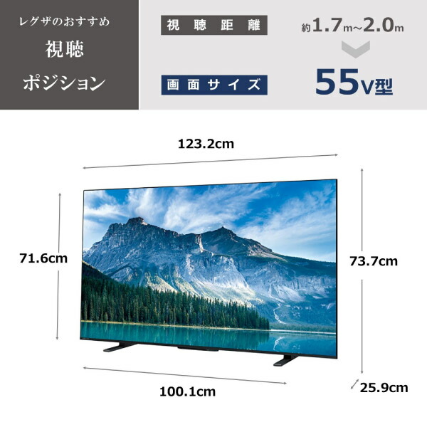 REGZA 55Z1 55インチ 液晶テレビ 東芝 LED REGZA 55Z1 [55インチ] 価格