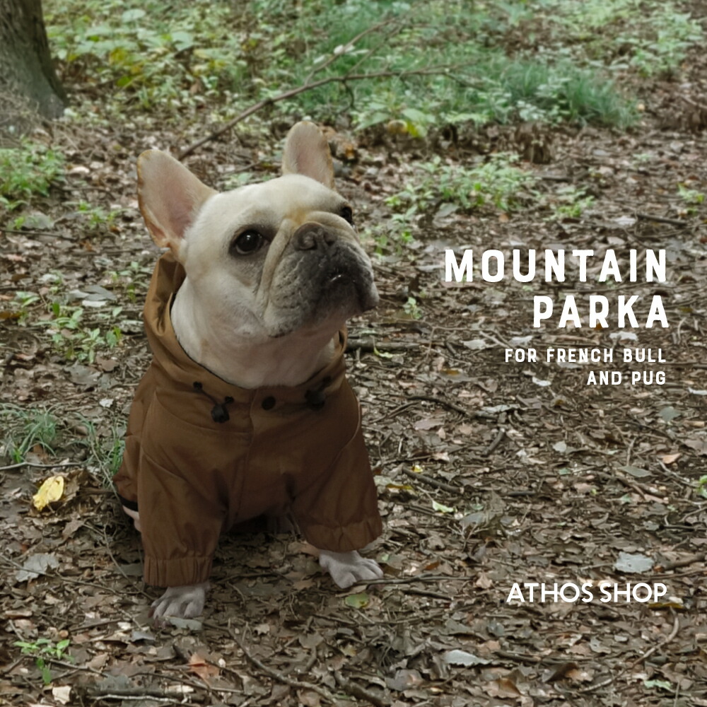 ○犬服○ハンドメイド 胴55 NO.500 フレブル パグ