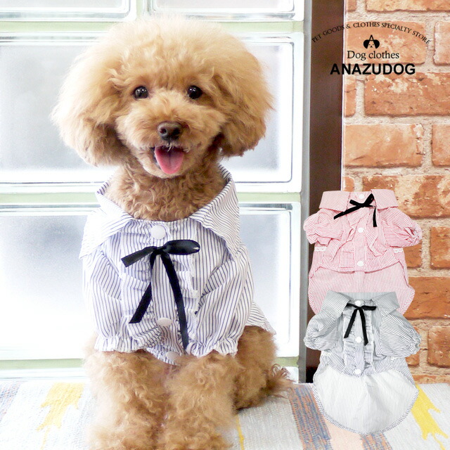 すずᕱ⑅ᕱ︎さま＊ハンドメイド犬服＊