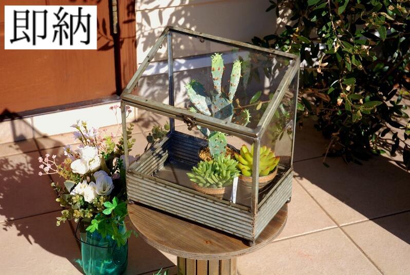 ガラスショーケース 昭和ネオラック 観葉植物 爬虫類 クワガタ 引取り