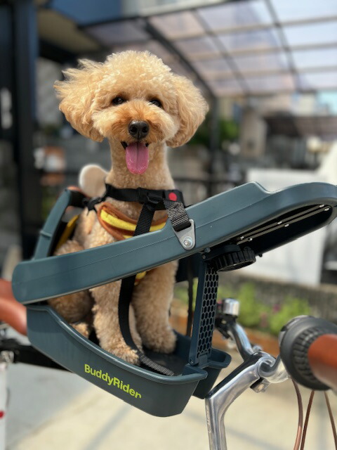 Buddy Rider バディーライダー 犬用キャリアシート Buddy Rider