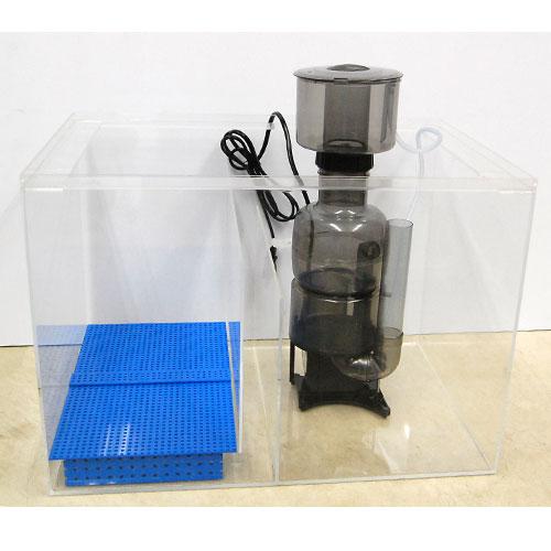 楽天市場】【全品ポイント5倍】カミハタ 海道達磨 プロテインスキマー