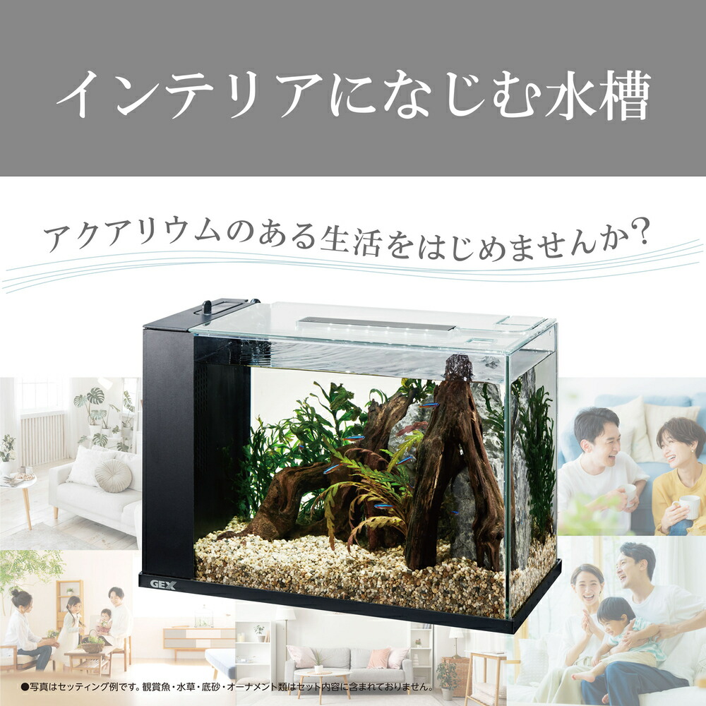 楽天市場】【全品ポイント5倍】GEX アワーズ ブラック オールインワン