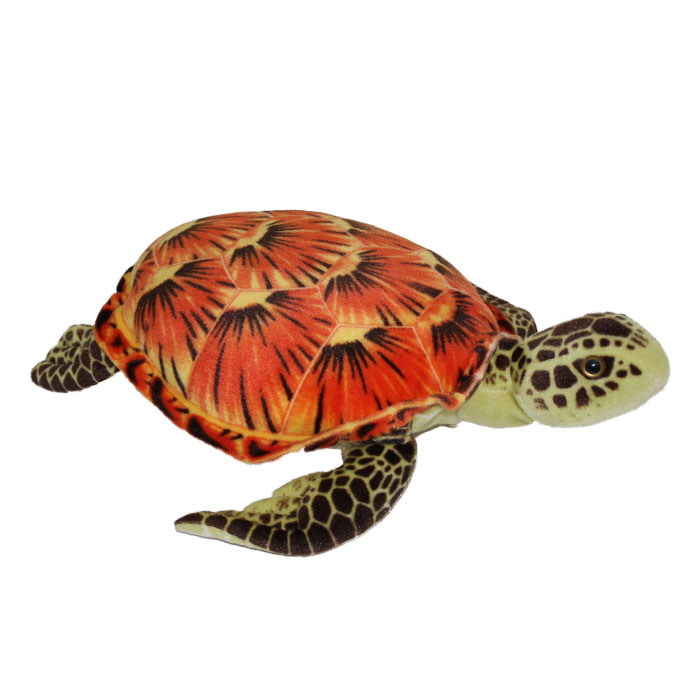 楽天市場】うみがめ ウミガメ 海の生き物 沖縄 海亀 ぬいぐるみ 亀