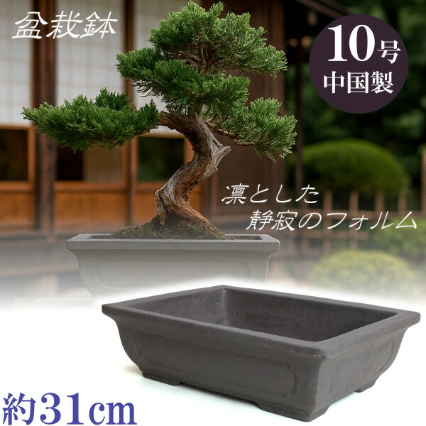 盆栽鉢 大型」の人気商品一覧 | 安い商品を通販サイトから探す - 価格.com