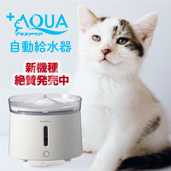 楽天市場】【販売終了・新機種プラスアクア2絶賛販売中】獣医師推奨