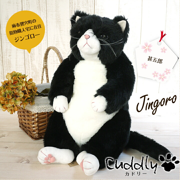 楽天市場】猫 ねこ ぬいぐるみ 甚五郎 カドリー Cuddly 癒し 猫の