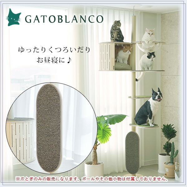 楽天市場】【クーポン有り】ガトブランコ スクラッチボード 猫用 爪