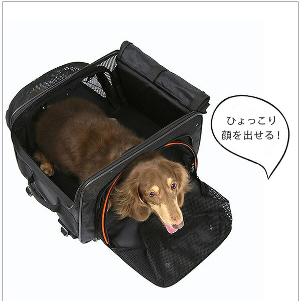 楽天市場】【正規品】イビヤヤ JetPaw ペット キャリア バックパック