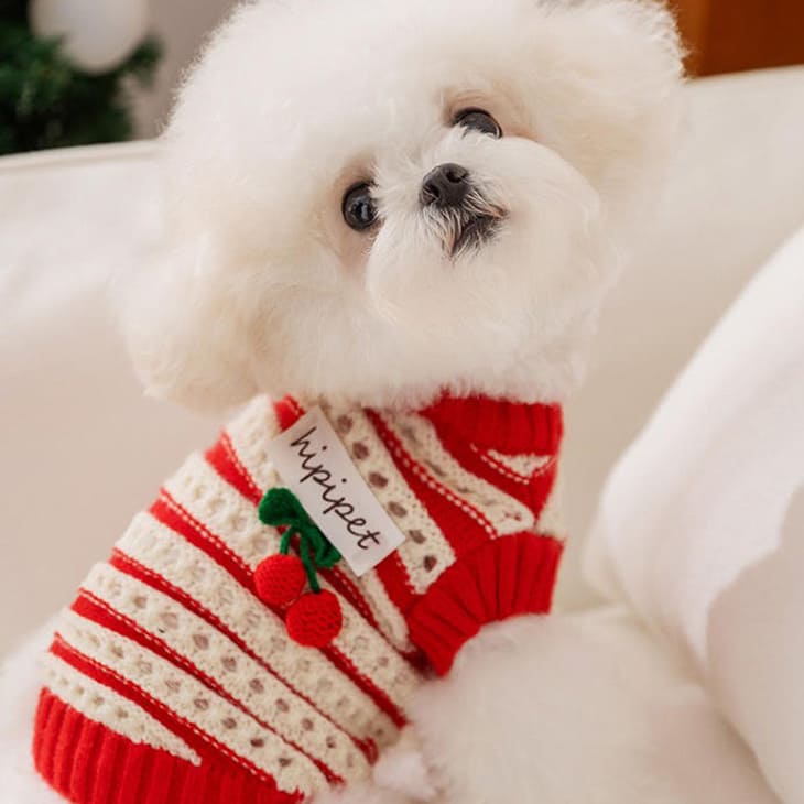 赤いチェリーの犬の服 犬服 イチゴ服（超小型犬・小型犬・中型用犬