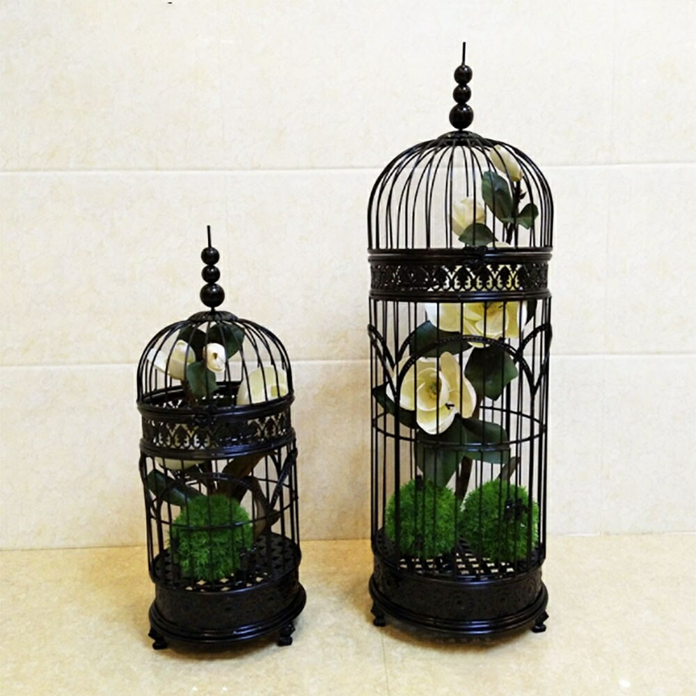 楽天市場】【在庫限り】【ランキング1位5冠達成】 【人気商品】ペット