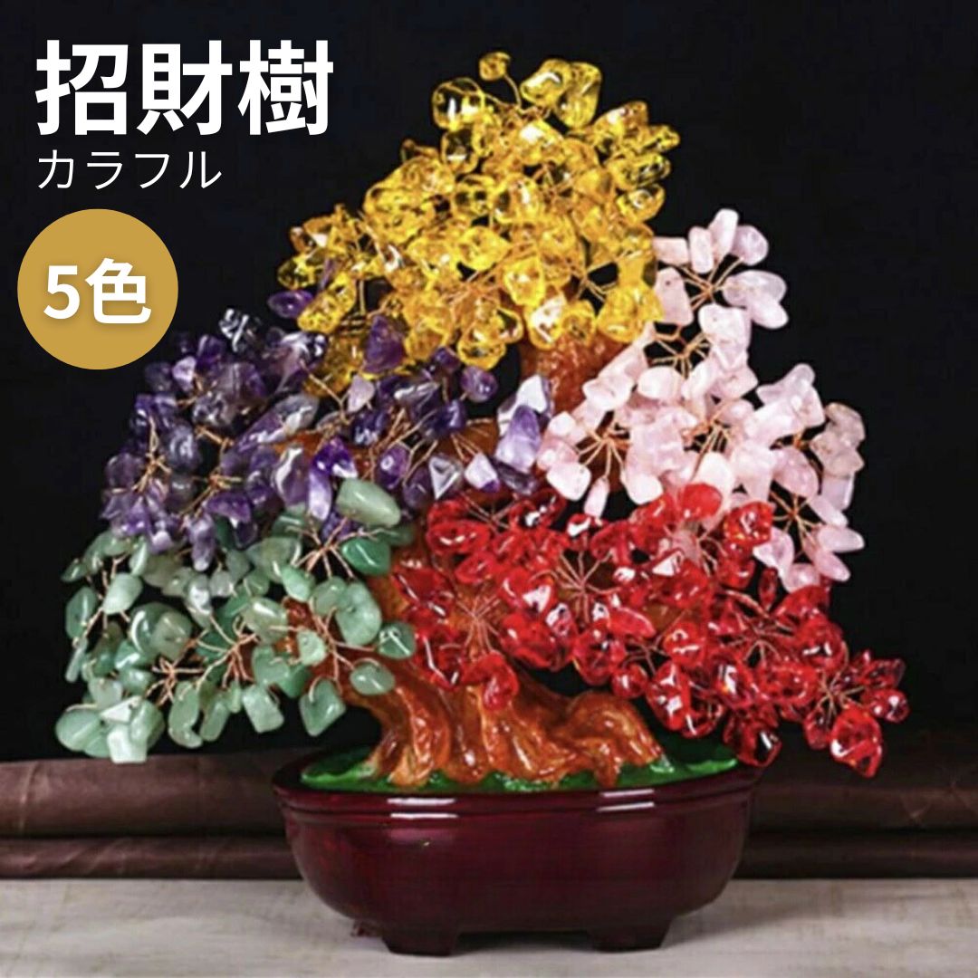 楽天市場】【楽天1位6冠達成】風水 カラフル 5色 招財樹 金のなる木