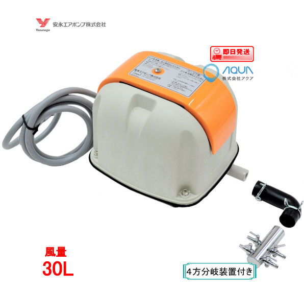 楽天市場】安永 エアーポンプ AP-30P（4方分岐装置付き） 安永