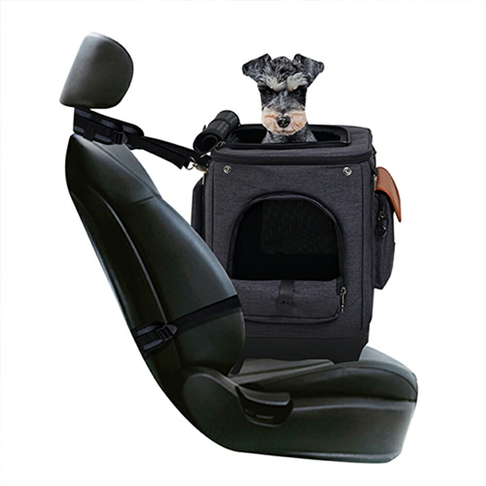 びびちゃんロイヤルテイルズ アリス Alice チャコール ペットカート