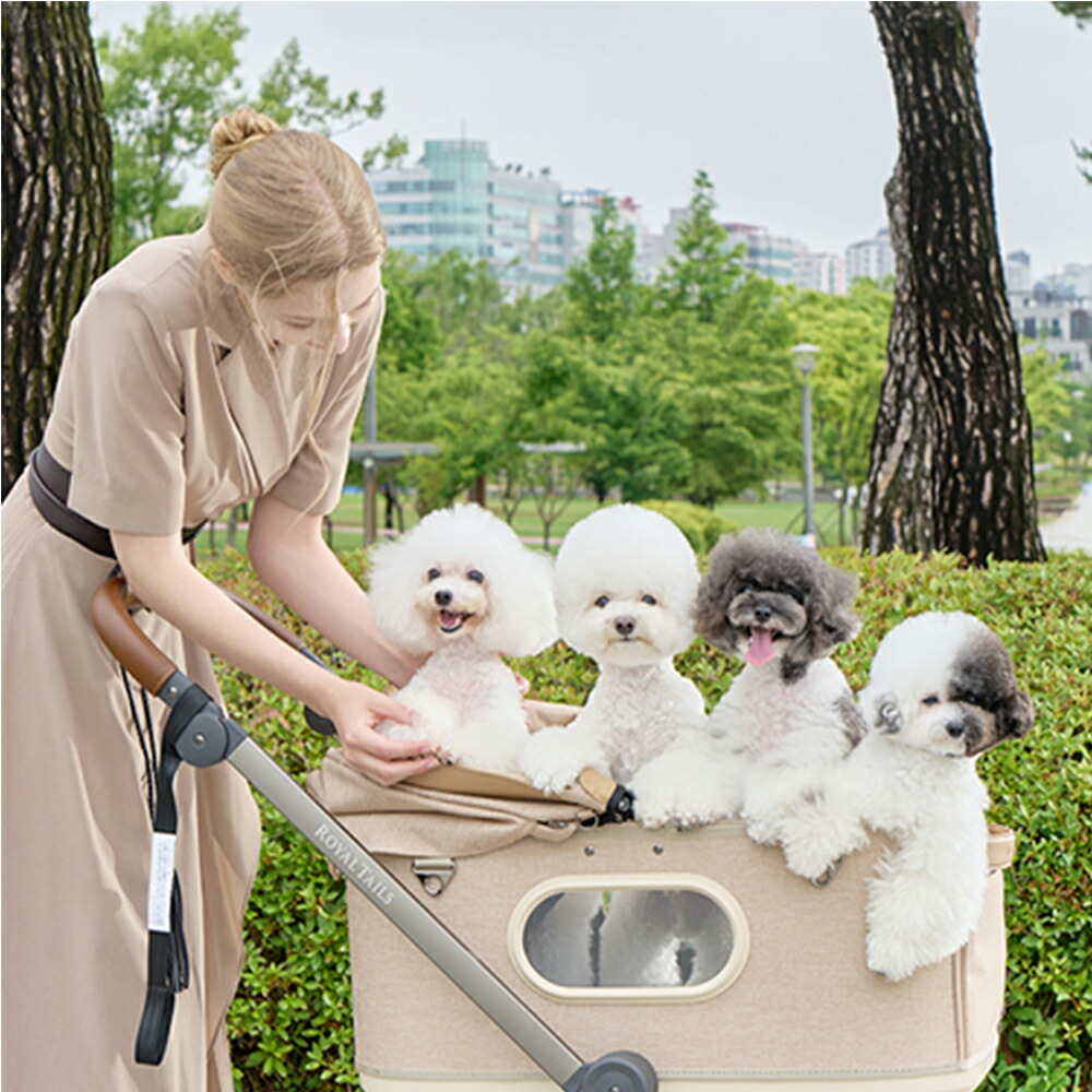 楽天市場】【ROYAL TAILS】Grace Classic ロイヤルテイルズ 公式