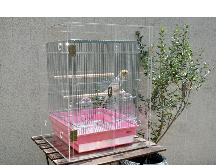 楽天市場】【プレミアム】W545×H650×D545 アクリル バードケージ