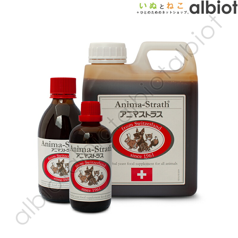 楽天市場】【2月10日終日開催 1等最大100%ポイントバック！※要