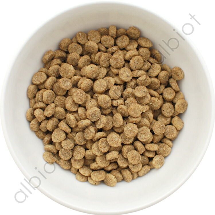 楽天市場】【2月10日終日開催 1等最大100%ポイントバック！※要