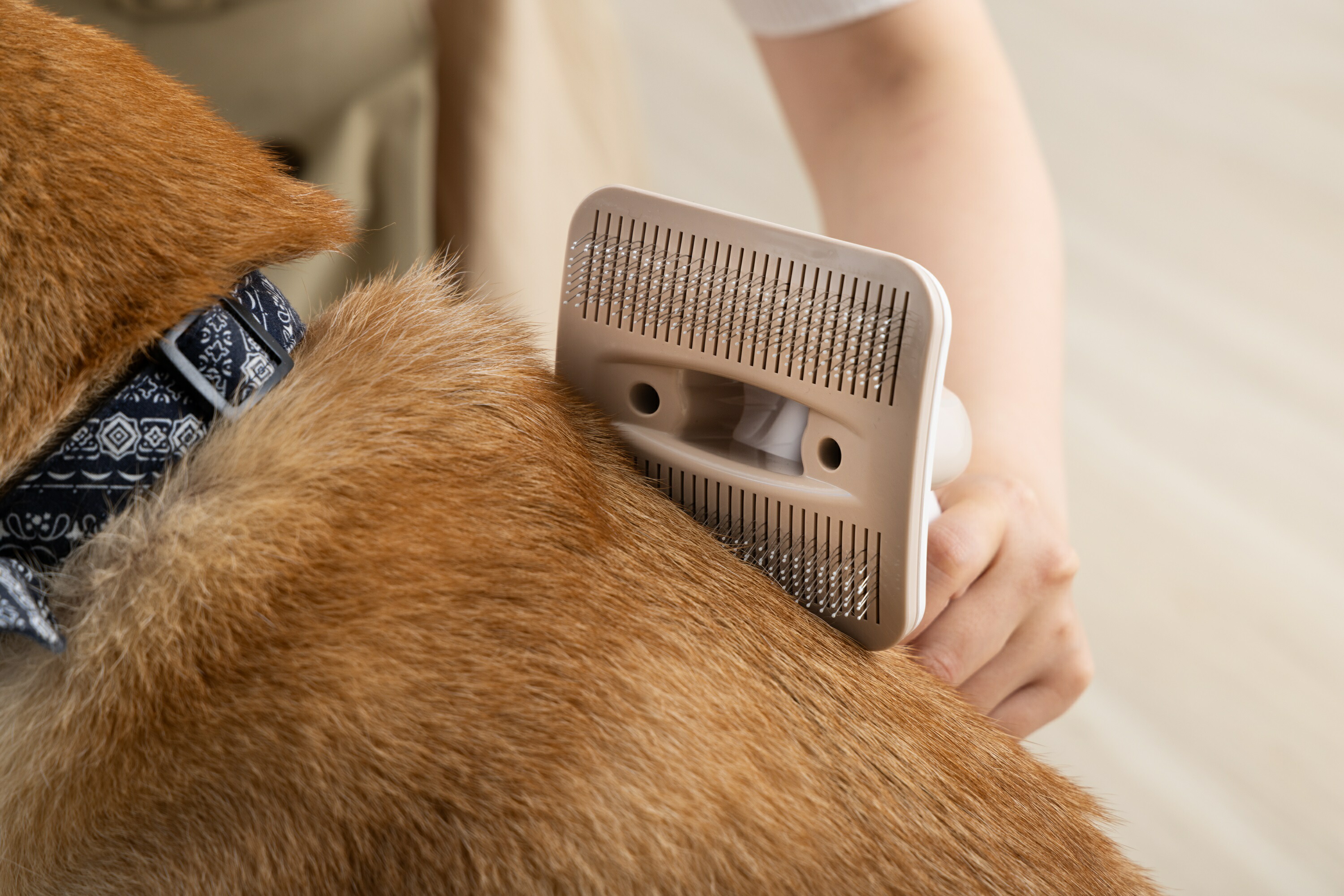 楽天市場】Micolペット用バリカンクリーナー ペット用 バリカン