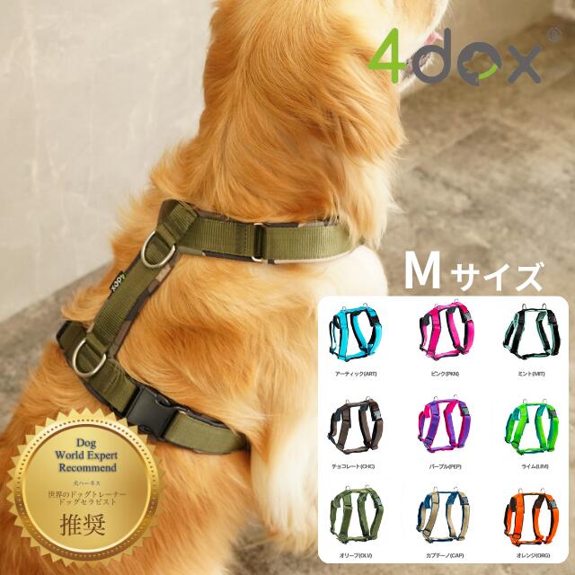 楽天市場】犬用ハーネス 大型犬【4dox コンフォートプラスハーネス M