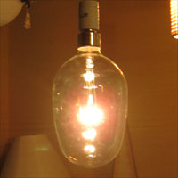 楽天市場】舶用電球 大型集魚灯インテリア電球（イカツリランプ