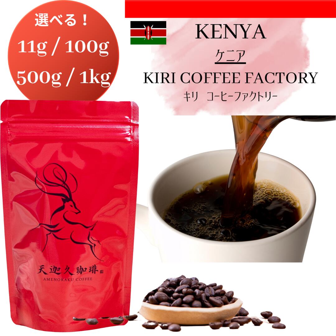 ケニア産有機コーヒー生豆 キマンディ農園製 10kg 品番KC-10000 ケニア