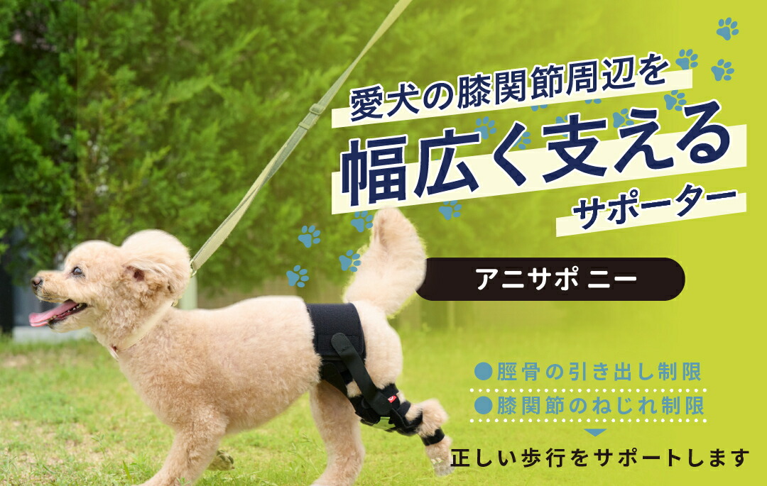 楽天市場】【anifull 公式】 アニサポ ニー アニフル ダイヤ工業 日本