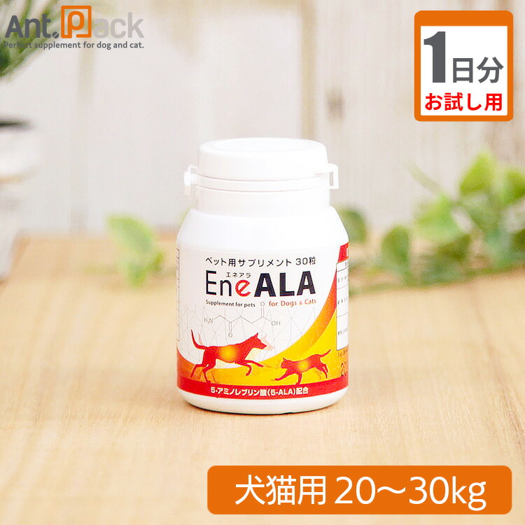 11／25まで値下げ！超激安！エネアラ 5個 エネアラ」の人気商品一覧