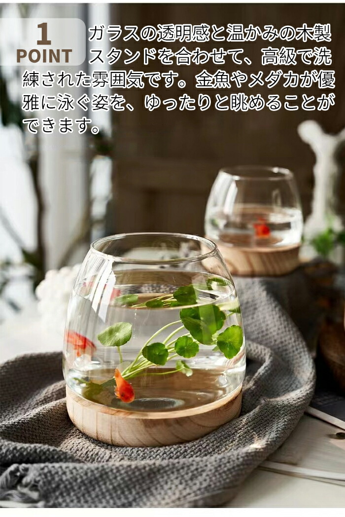 楽天市場】金魚鉢 おしゃれ 金魚 メダカ 水槽 室内 容器 鉢 ミニ水槽