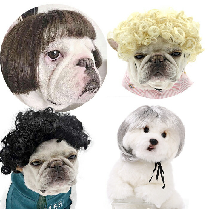 楽天市場】ハロウィン ウィッグ ペット用 コスプレ 犬猫 コスチューム