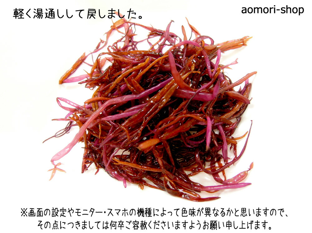 ふのり10枚 ふのり10枚 ZX-10R 11- カニフック |