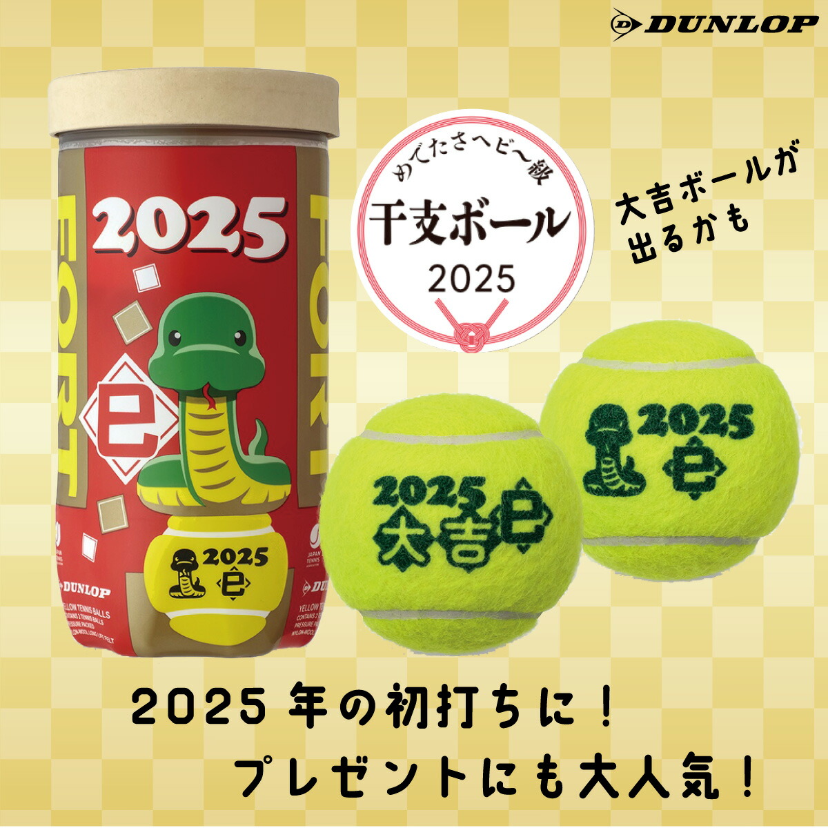 楽天市場】DUNLOP フォート 干支ボール(2025年巳） FORT 2球缶 初打ち