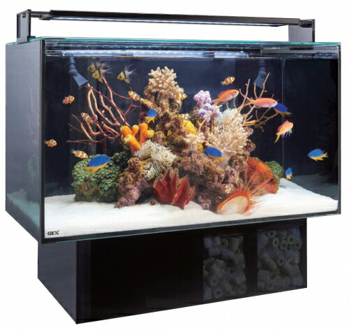 楽天市場】GEX グラステリア アグス AGS OF-450オーバーフロー水槽