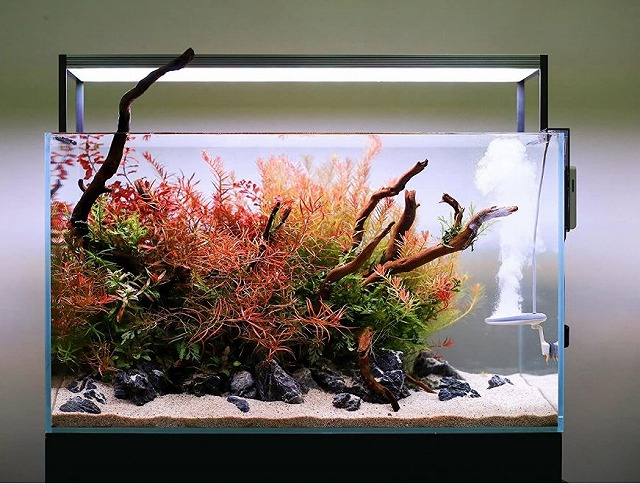 E-LINE Ver.Ⅳ ：twinstar(ツインスター) ：照明 ～神畑養魚株式会社