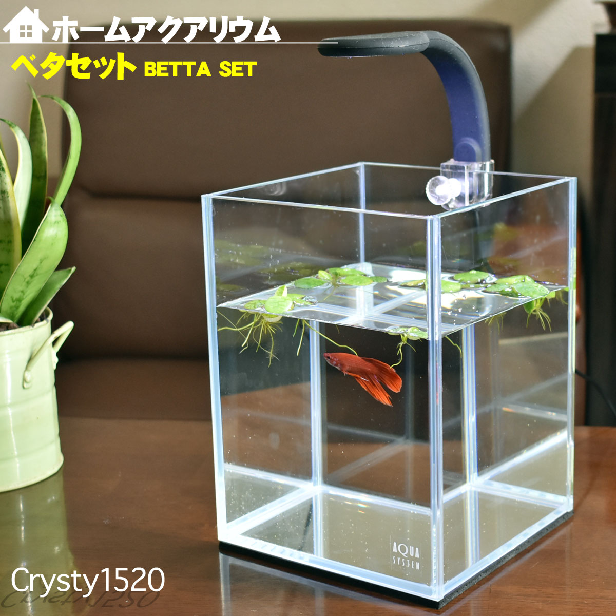 楽天市場】水槽 ホームアクアリウムオールセット 簡単 ベタ飼育セット