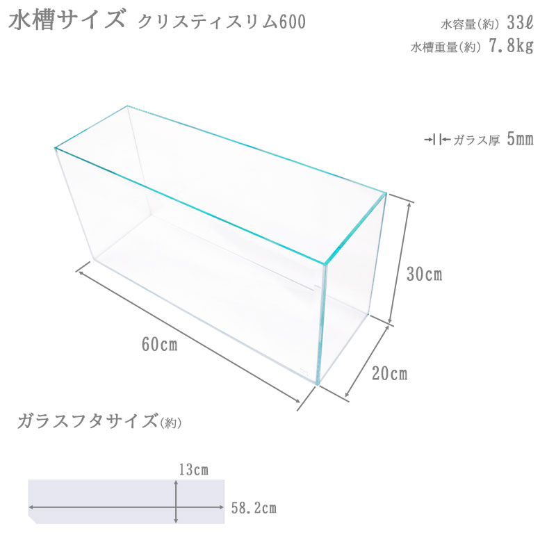 楽天市場】【楽天ランキング1位獲得】水槽 60cm ガラス水槽【60×20