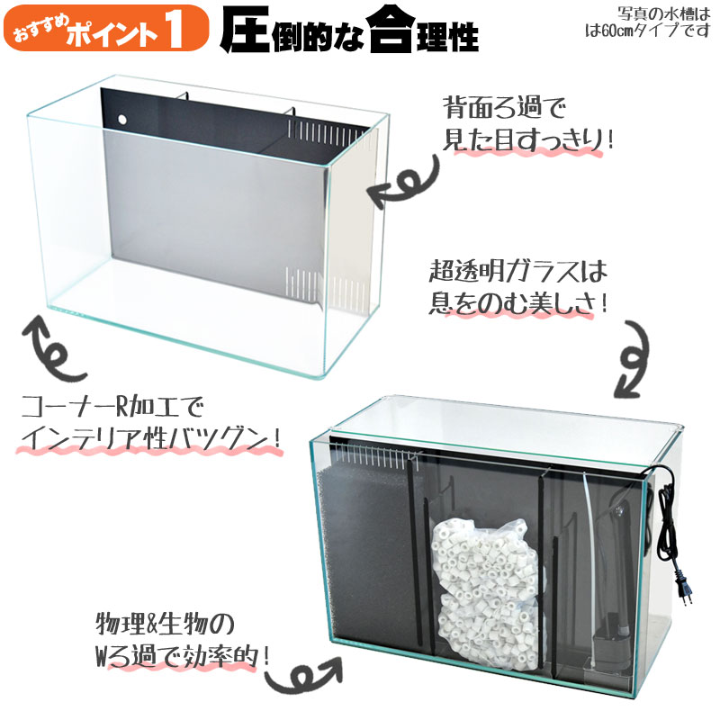 楽天市場】水槽 60cm 背面ろ過水槽【60×30×40cm 52L】スプリング R600