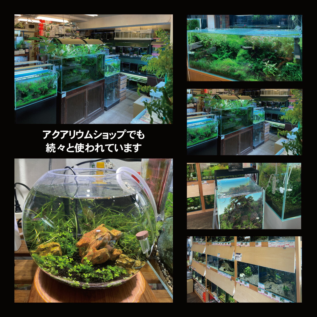 楽天市場】esAqua 水槽 バック スクリーン LEDライト PSE認証 メーカー