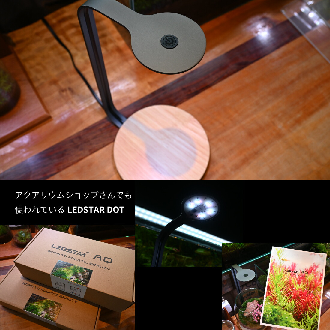 楽天市場】LEDSTAR 水槽 ライト モデルDOT 【 RGBW コンパクトライト