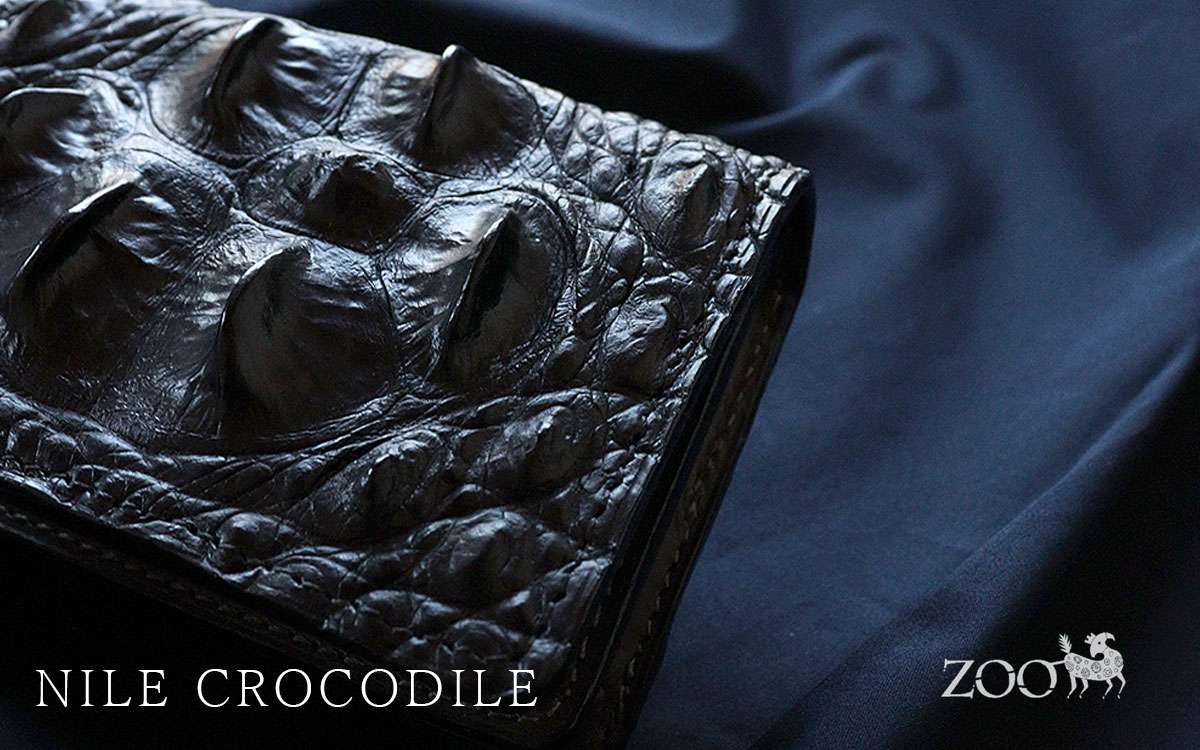 楽天市場】名刺入れ カードケース クロコダイル ナイルクロコ ホーン