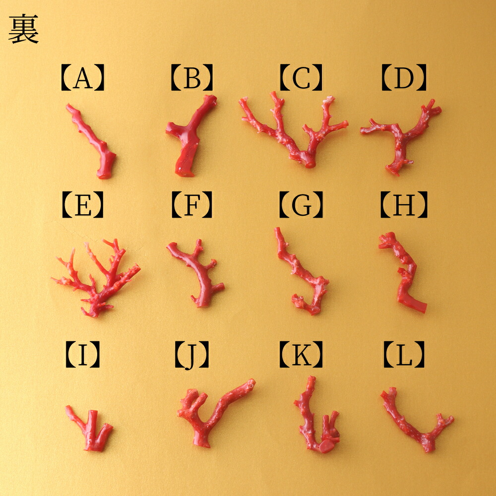 楽天市場】≪1年保証付き≫ 日本産血赤珊瑚＜枝＞ルース ペンダント