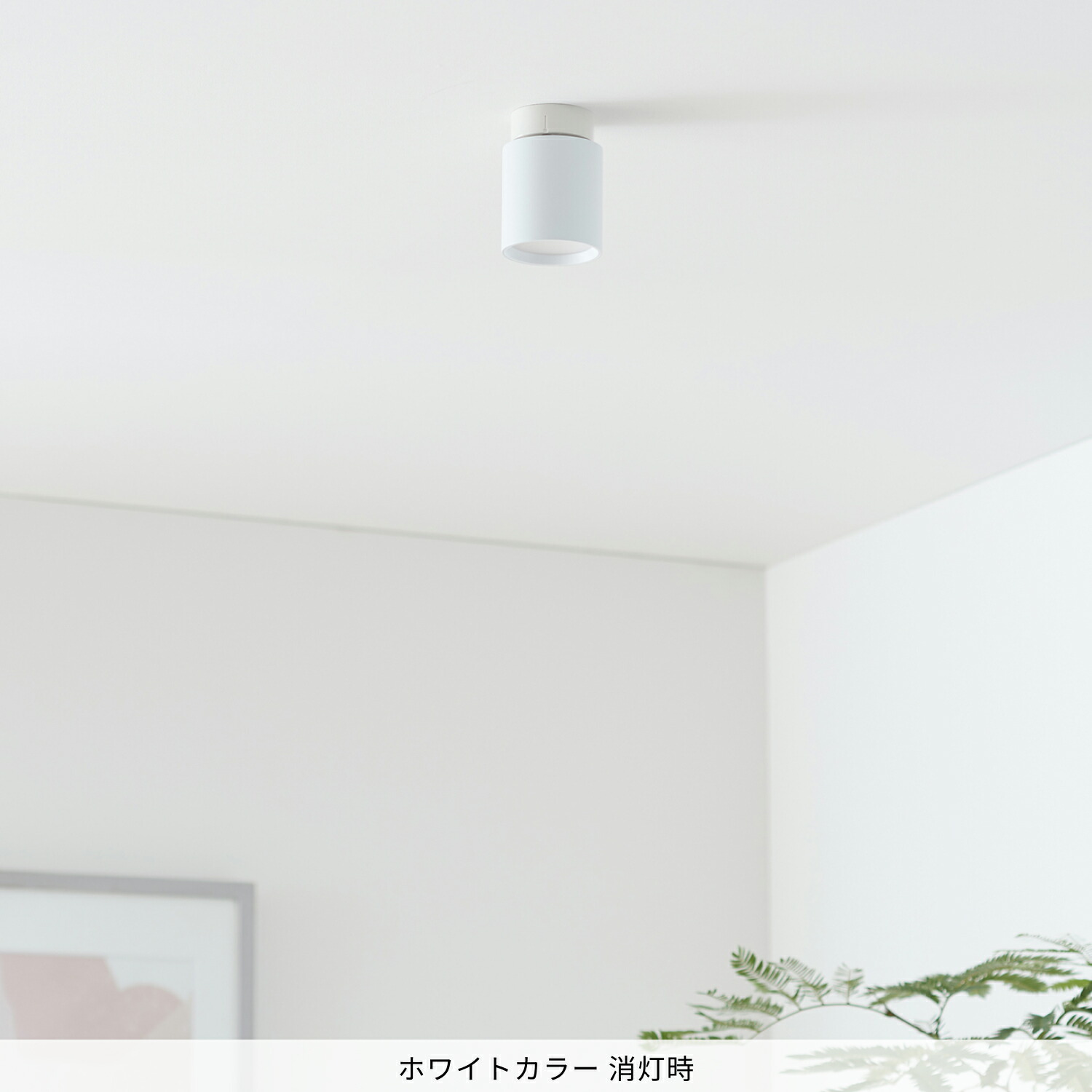 楽天市場】【アートワークスタジオ公式】ダウンライト【Grid-ceiling