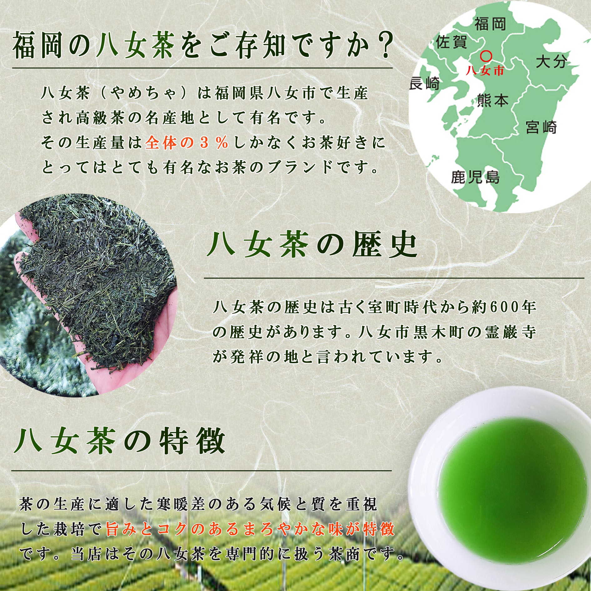 楽天市場】お茶 八女茶 特上煎茶 極 100g 送料無料 お茶 福岡 八女 深